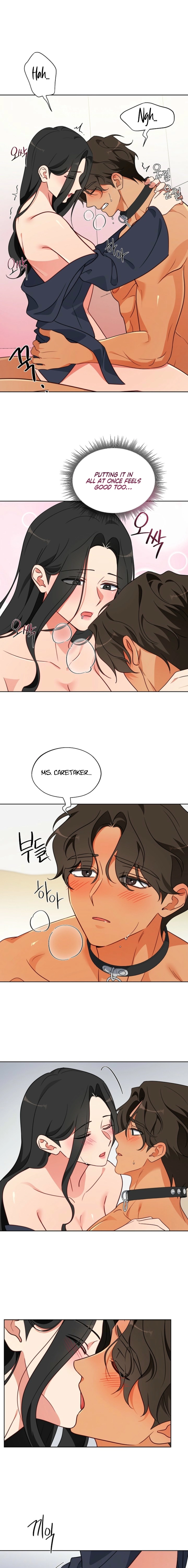 Males of the breeding room Chapter 9 page 11 - 