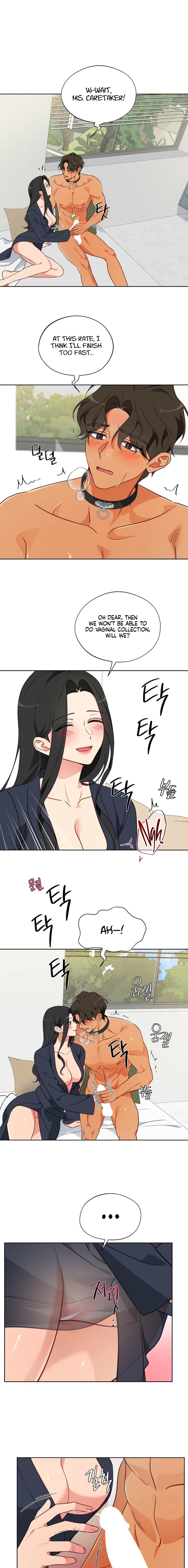 Males of the breeding room Chapter 9 page 9 - 