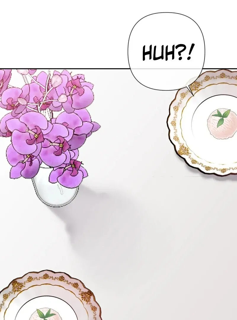 Manager, Please Divorce! Chapter 4 page 47 - 