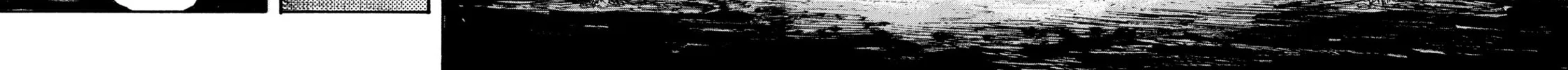 Manchuria Opium Squad Chapter 15 page 12 - 