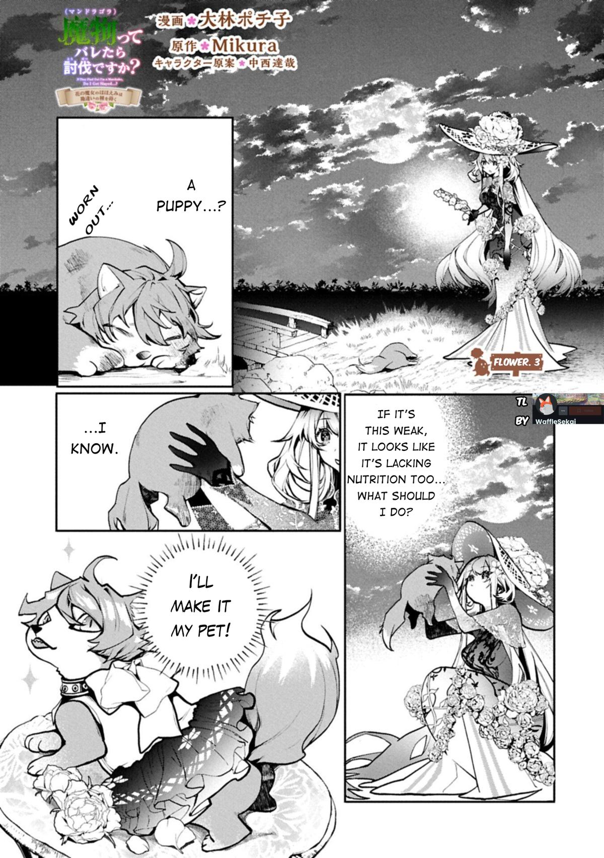 Mandragora tte Baretara Toubatsu desu ka?: Hana no Majo no Hohoemi wa Kanchigai no Tane o Maku Chapter 3 page 3 - 