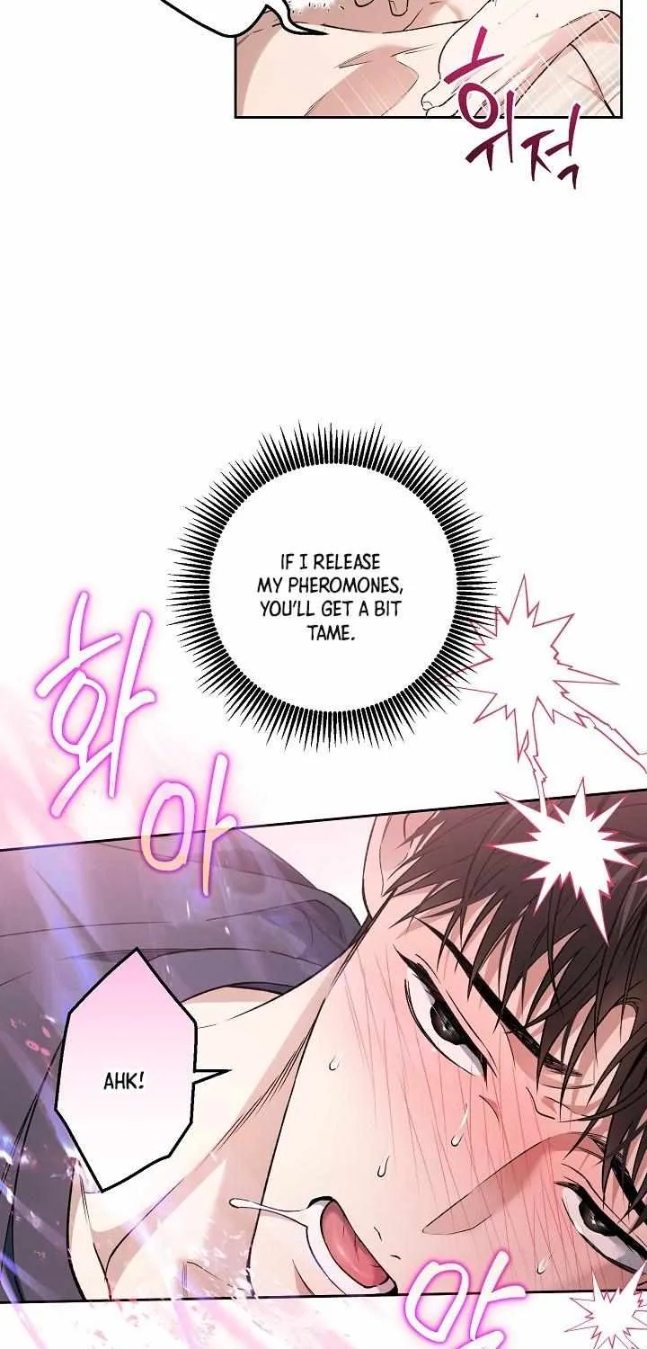 Mangjong Chapter 26 page 42 - 