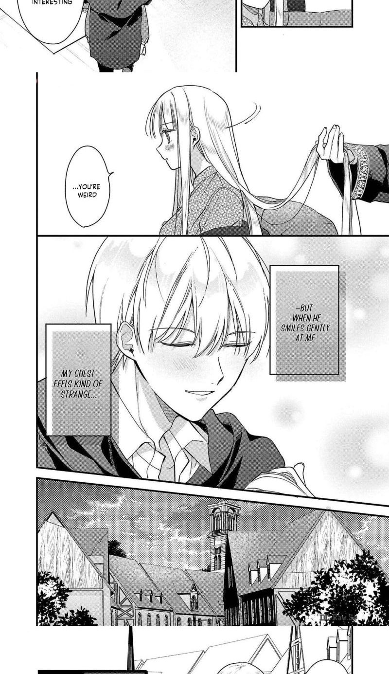 Maou-sama to Sunadokei - Tensei shitara Yousei-san de Shourai no Maou ni Yamareru Hanashi Chapter 3 page 6 - 
