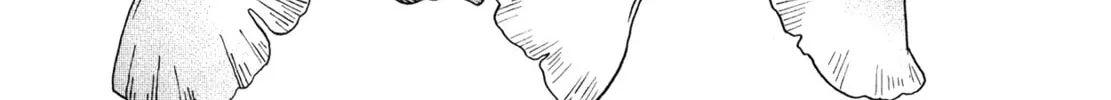 March Comes in Like a Lion Chapter 148 page 2 - 