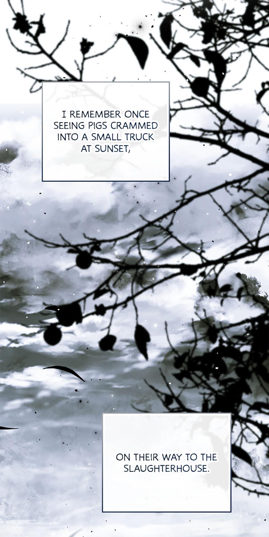 Marchioness Maron Chapter 1 page 6 - 