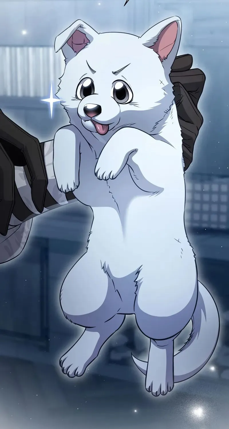 Margrave