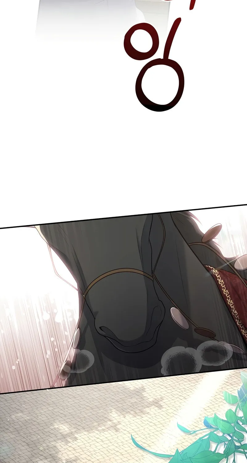 Margrave