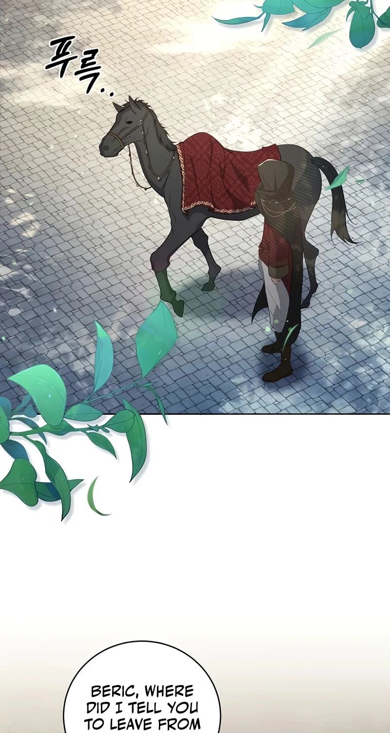 Margrave
