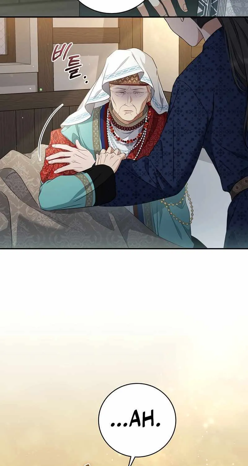 Margrave’s Bastard Son was The Emperor Chapter 12 page 17 - 
