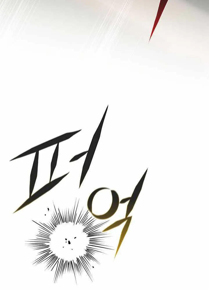 Margrave’s Bastard Son was The Emperor Chapter 92 page 66 - 