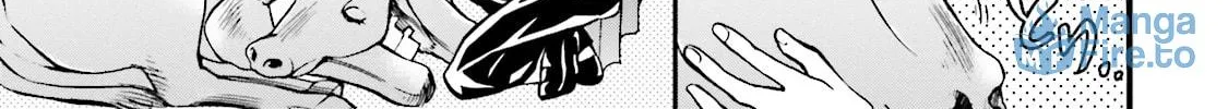 Maria Holic Chapter 72 page 36 - 