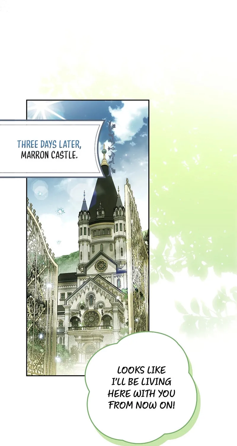 Marquis of Marron Chapter 11 page 42 - 