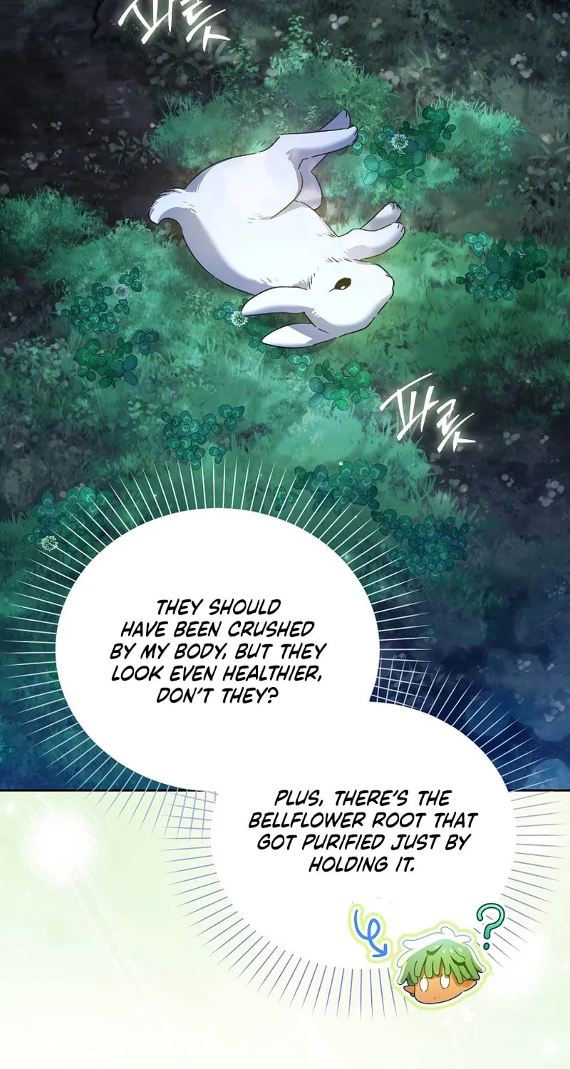 Marquis of Marron Chapter 2 page 34 - 