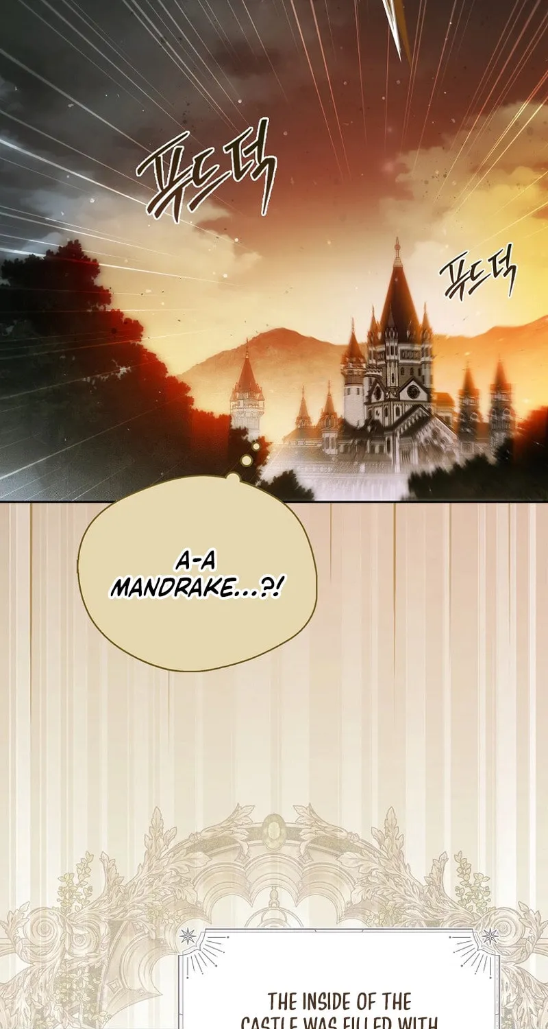 Marquis of Marron Chapter 2 page 76 - 