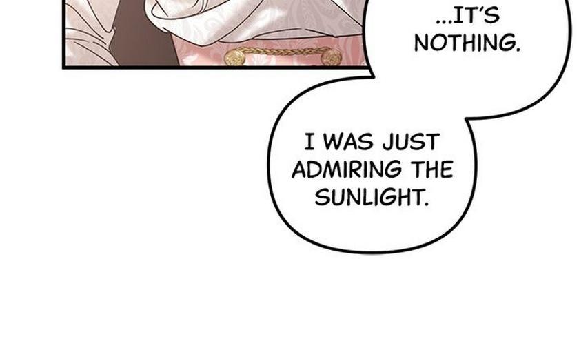 Marriage Alliance for Revenge Chapter 14 page 12 - 