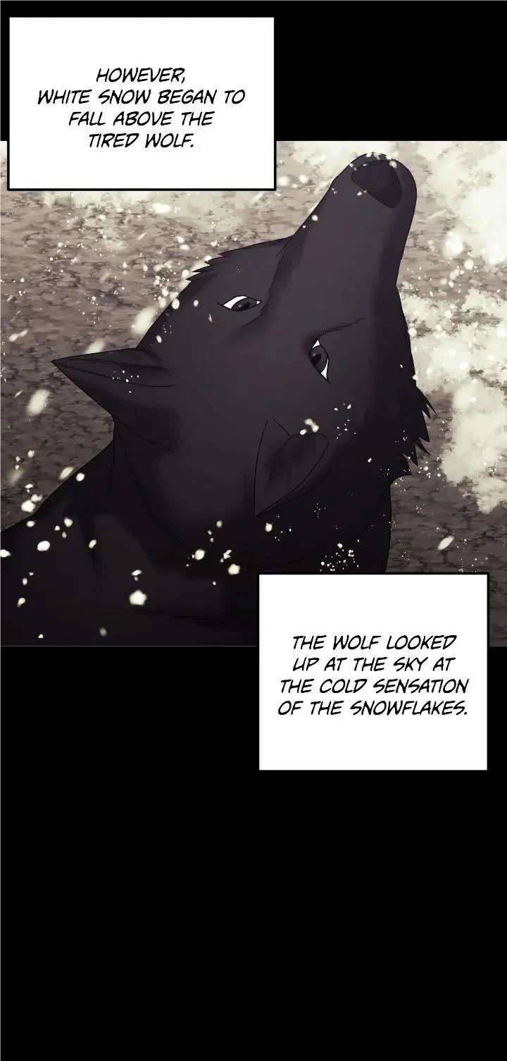 Marriage Alliance for Revenge Chapter 47 page 20 - 