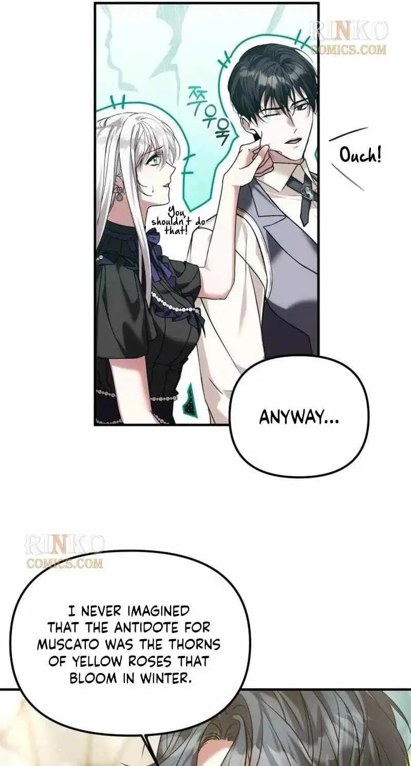 Marriage Alliance for Revenge Chapter 91 page 27 - 