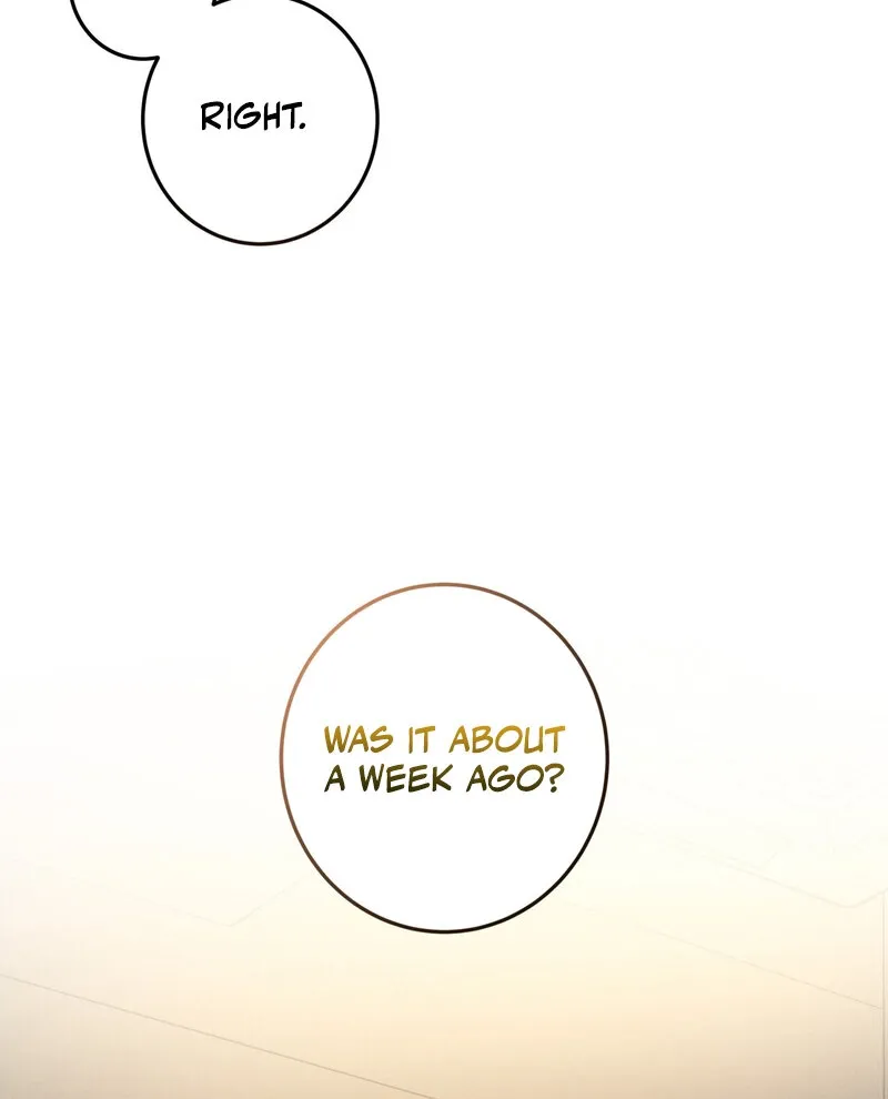 Marriage Classic Chapter 5 page 25 - 