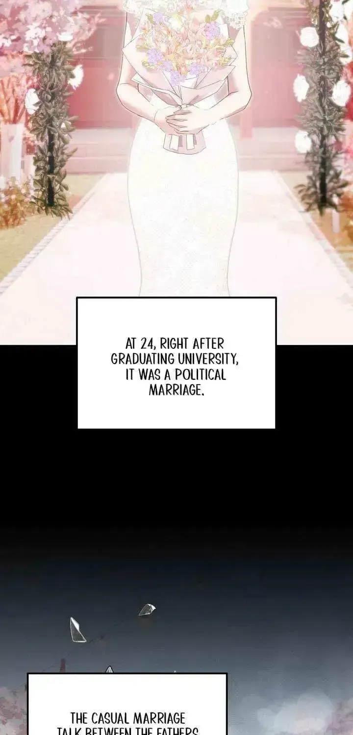 Marriage Gap Chapter 1.2 page 43 - 