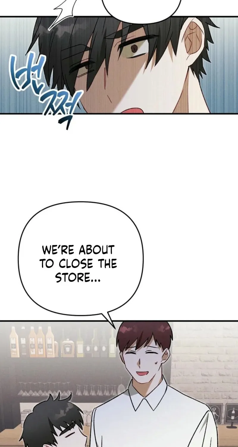 Marriage Partner Chapter 12 page 67 - 