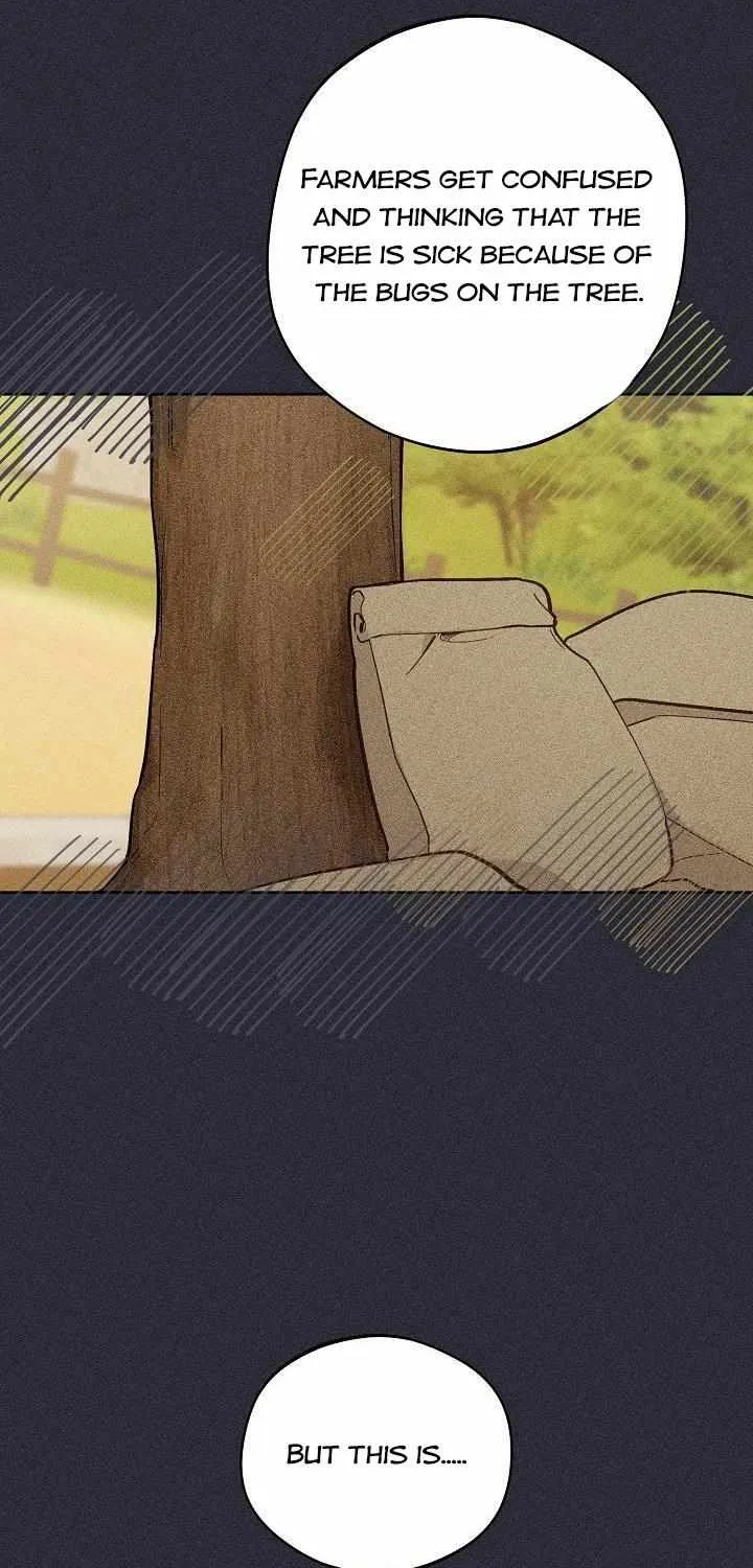 Marronnier Farm Near By The Imperial Palace Chapter 16 page 45 - 