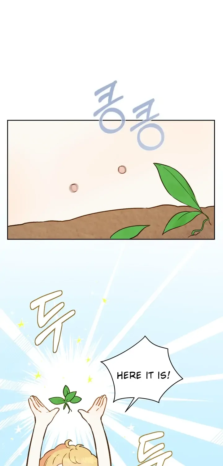 Marronnier Farm Near By The Imperial Palace Chapter 20 page 56 - 