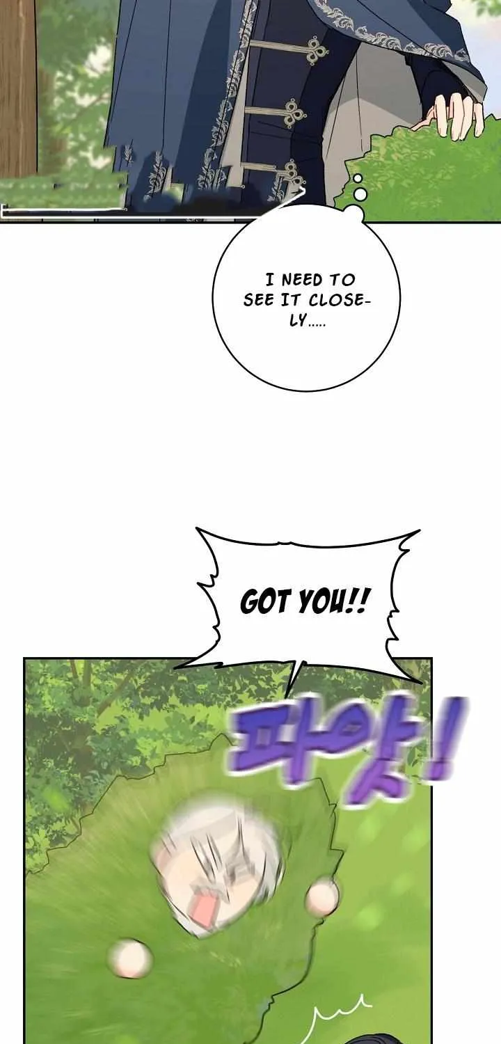 Marronnier Farm Near By The Imperial Palace Chapter 36 page 65 - 