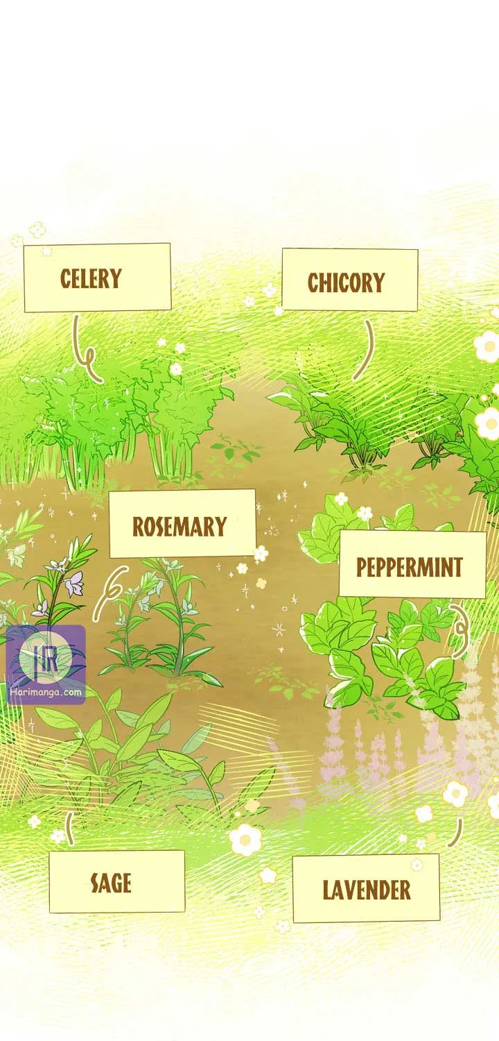 Marronnier Farm Near By The Imperial Palace Chapter 4 page 11 - 