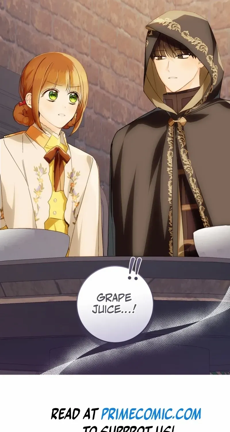 Marronnier Farm Near By The Imperial Palace Chapter 74 page 66 - 