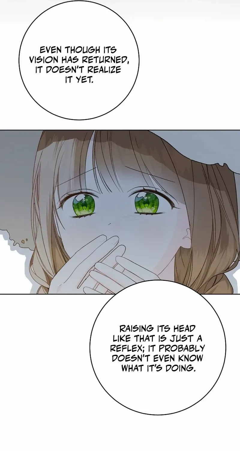 Marronnier Farm Near By The Imperial Palace Chapter 81 page 31 - 