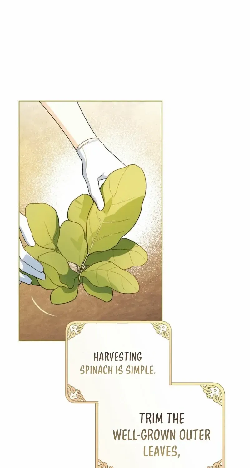 Marronnier Farm Near By The Imperial Palace Chapter 84 page 29 - 