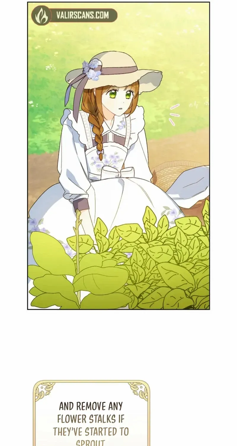 Marronnier Farm Near By The Imperial Palace Chapter 84 page 32 - 