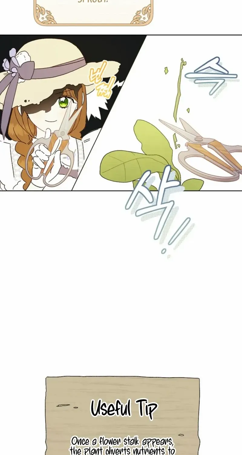 Marronnier Farm Near By The Imperial Palace Chapter 84 page 33 - 