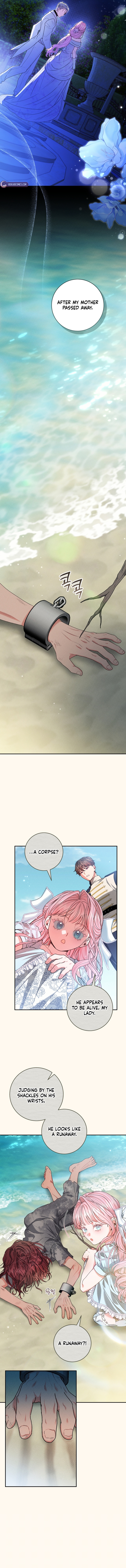 Marrying The Illegitimate Child Of The Enemy Family Chapter 27 page 12 - 