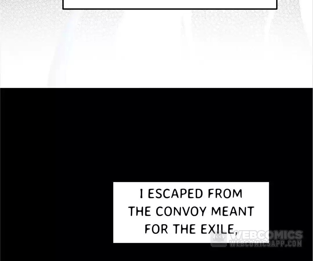 Martina Will Tame the Heroes Chapter 1 page 99 - 