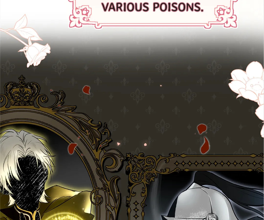 Martina Will Tame the Heroes Chapter 2 page 42 - 