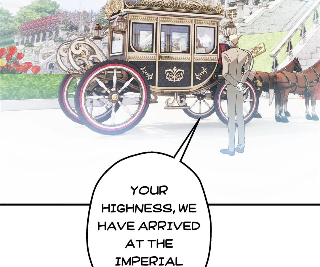 Martina Will Tame the Heroes Chapter 35 page 74 - 