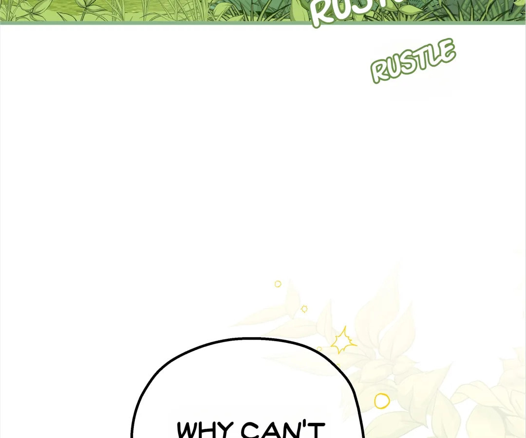 Martina Will Tame the Heroes Chapter 41 page 5 - 