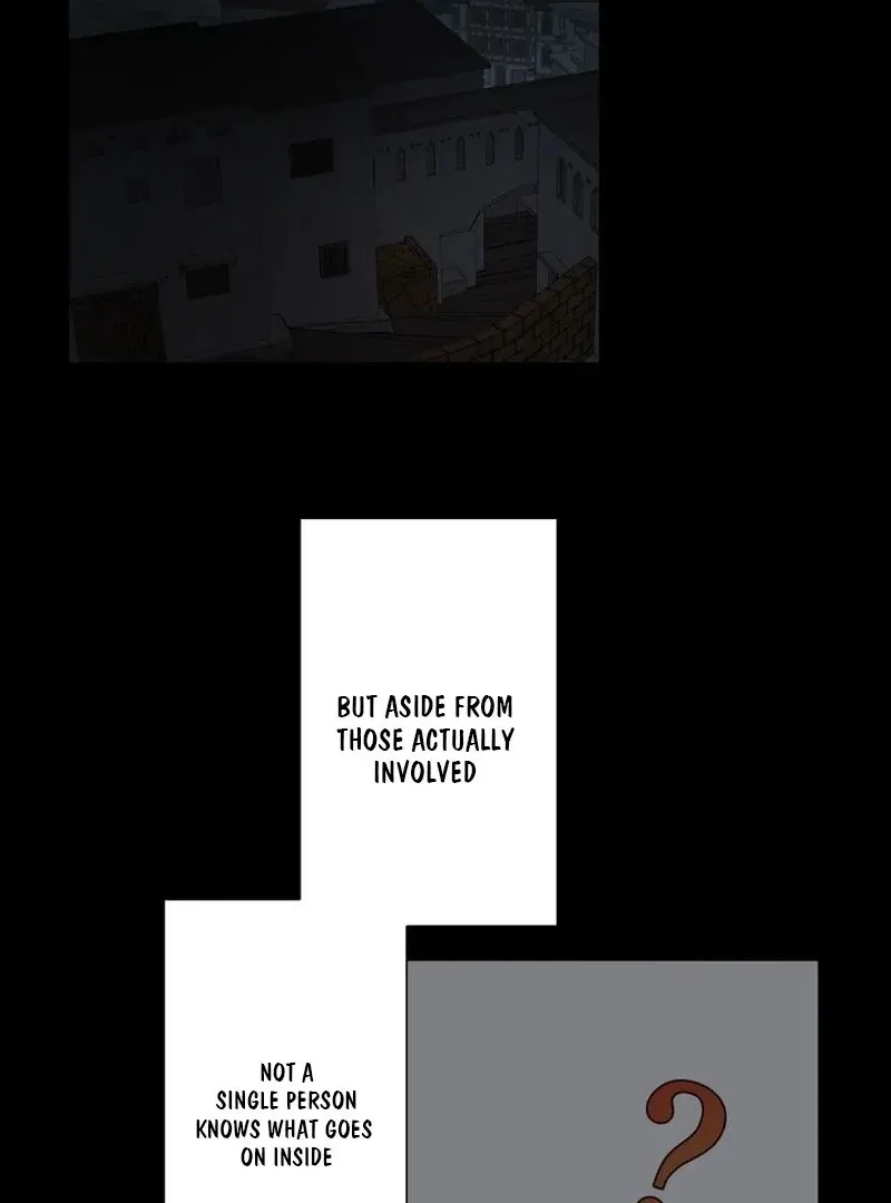 Masked Knight Will Never Deceive The Villainess Chapter 12 page 30 - 