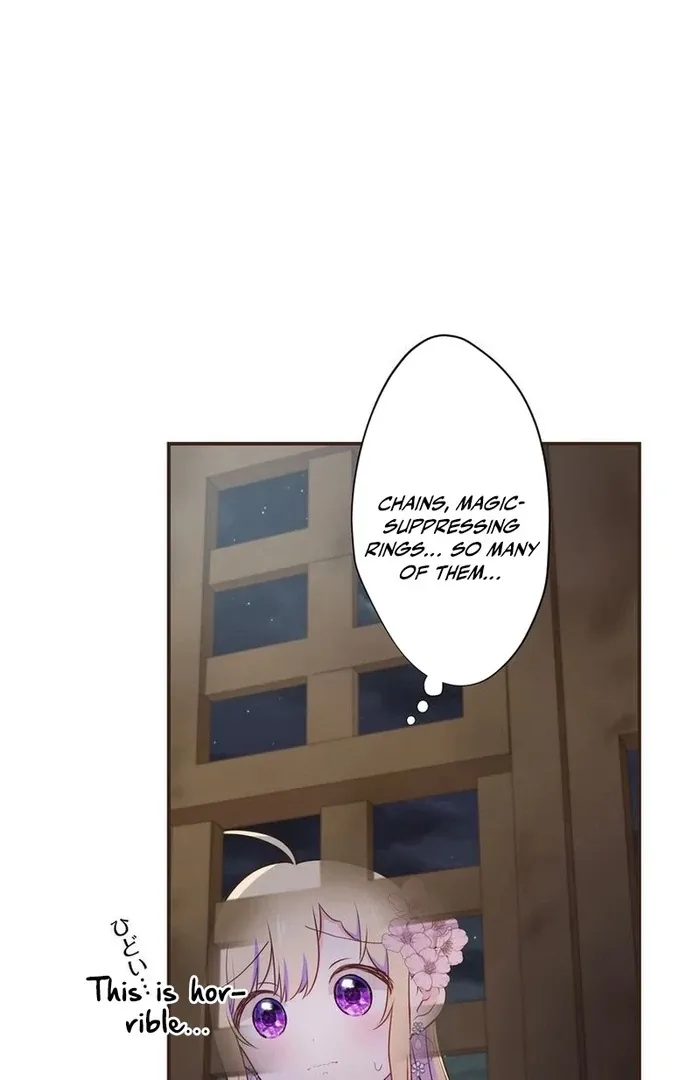 Masked Knight Will Never Deceive The Villainess Chapter 14 page 25 - 