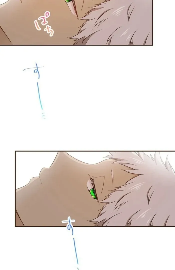 Masked Knight Will Never Deceive The Villainess Chapter 14 page 87 - 
