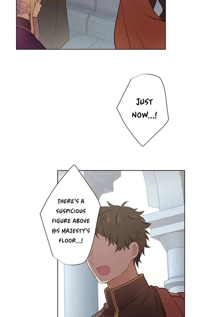 Masked Knight Will Never Deceive The Villainess Chapter 16 page 63 - 