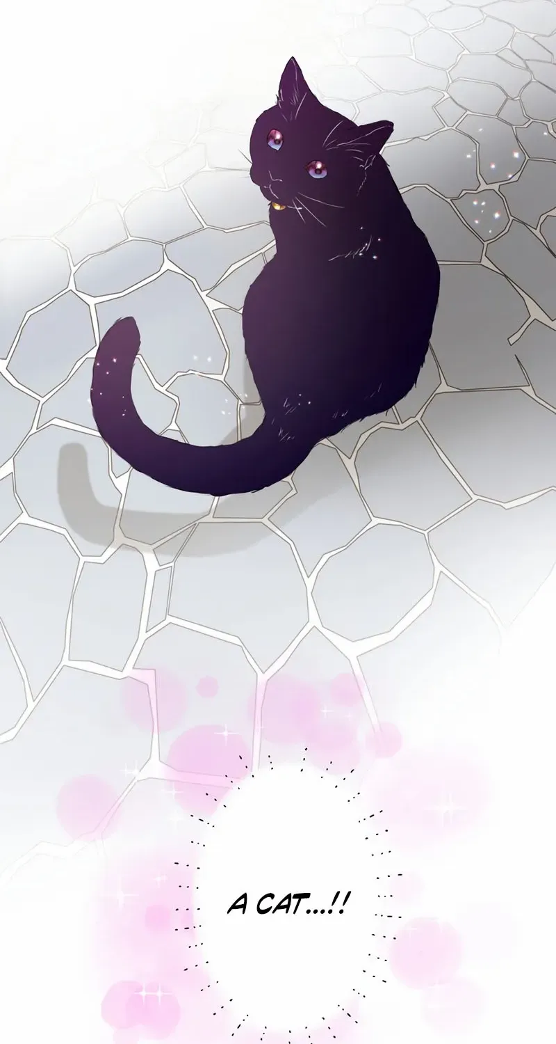 Masked Knight Will Never Deceive The Villainess Chapter 25 page 53 - 