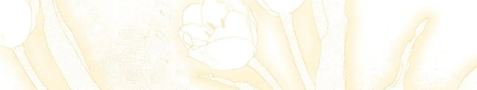 Materialistic Lady Chapter 39 page 97 - 