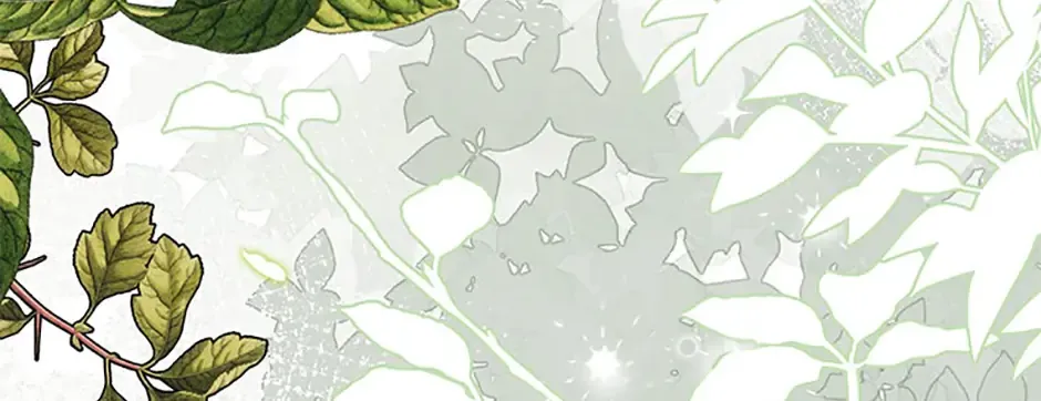 Materialistic Lady Chapter 82 page 169 - 