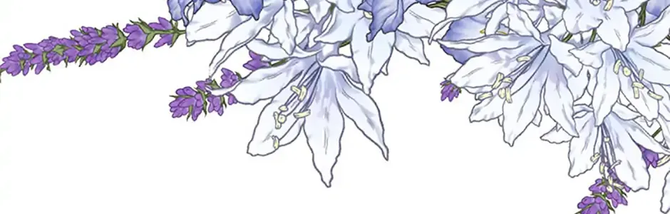 Materialistic Lady Chapter 88 page 114 - 
