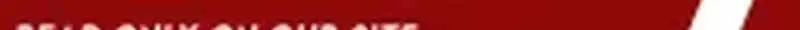 Max Level Guild Receptionist Chapter 64 page 2 - 