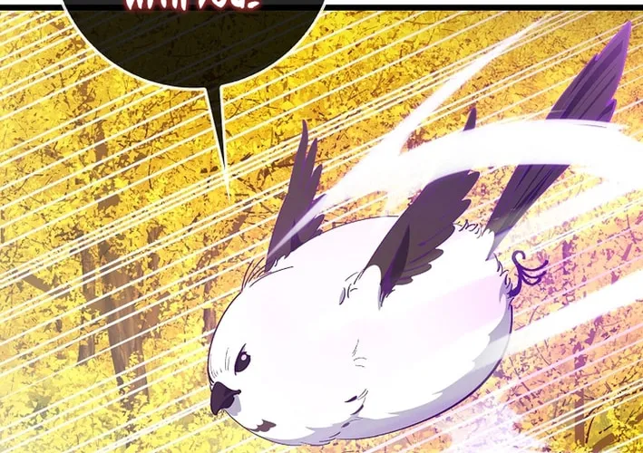 Max Talent Player Chapter 100 page 68 - 