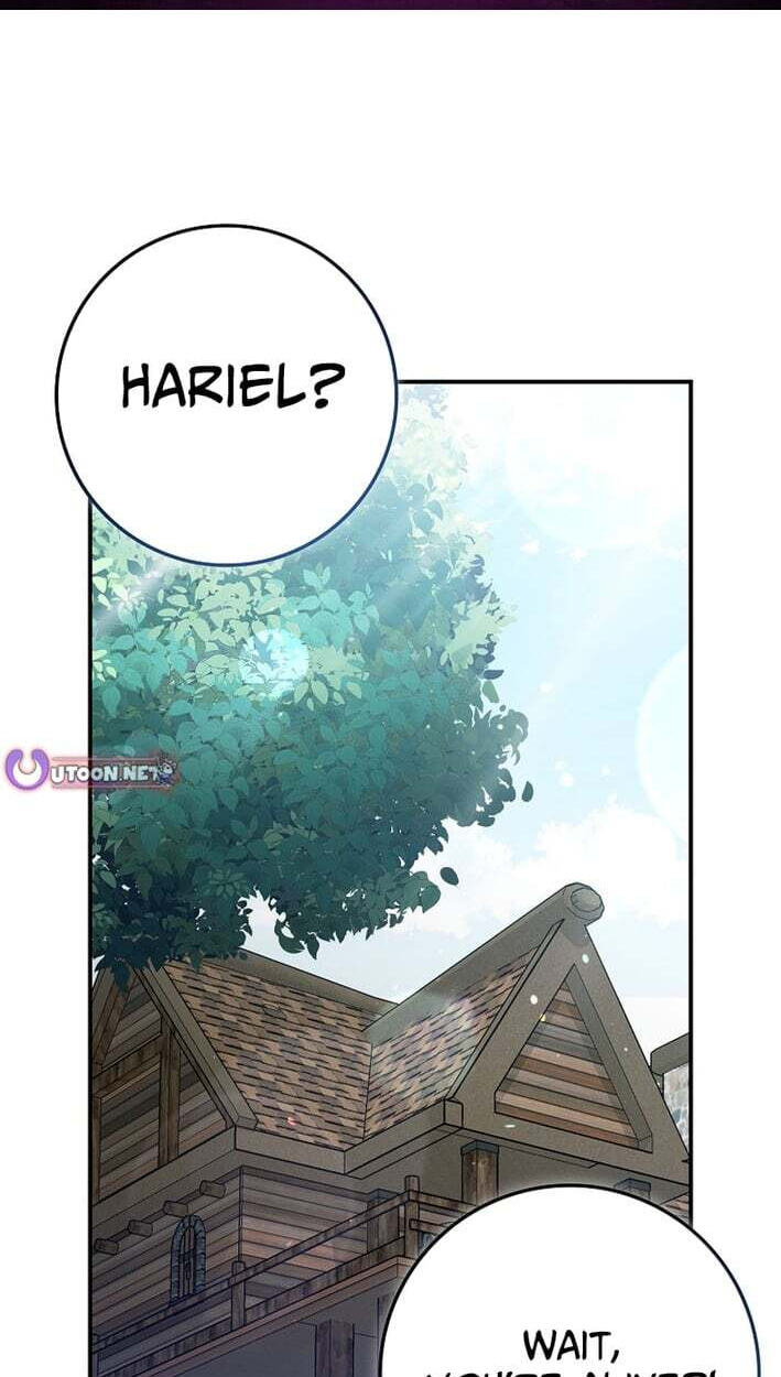 Max Talent Player Chapter 137 page 1 - 