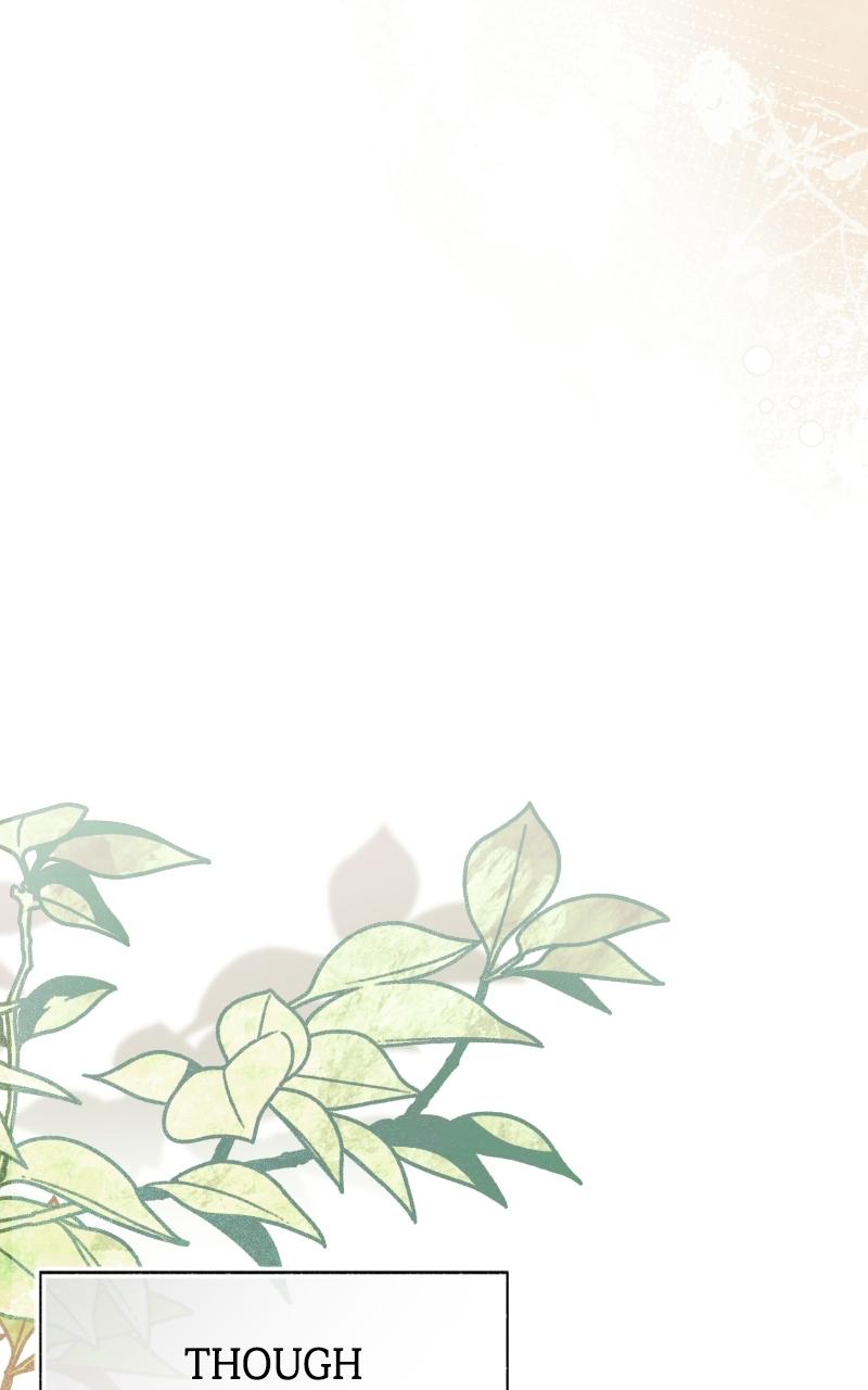 May Sleep Befall Death Chapter 5 page 42 - 